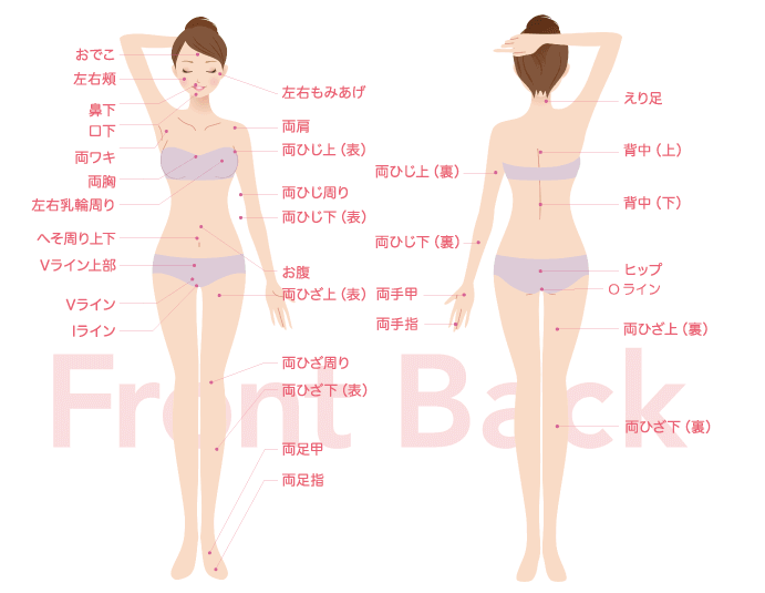 シースリー(C3)八戸店は全身53ヶ所脱毛